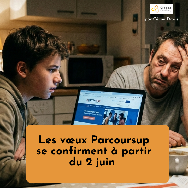 Voeux refusés Parcoursup que faire